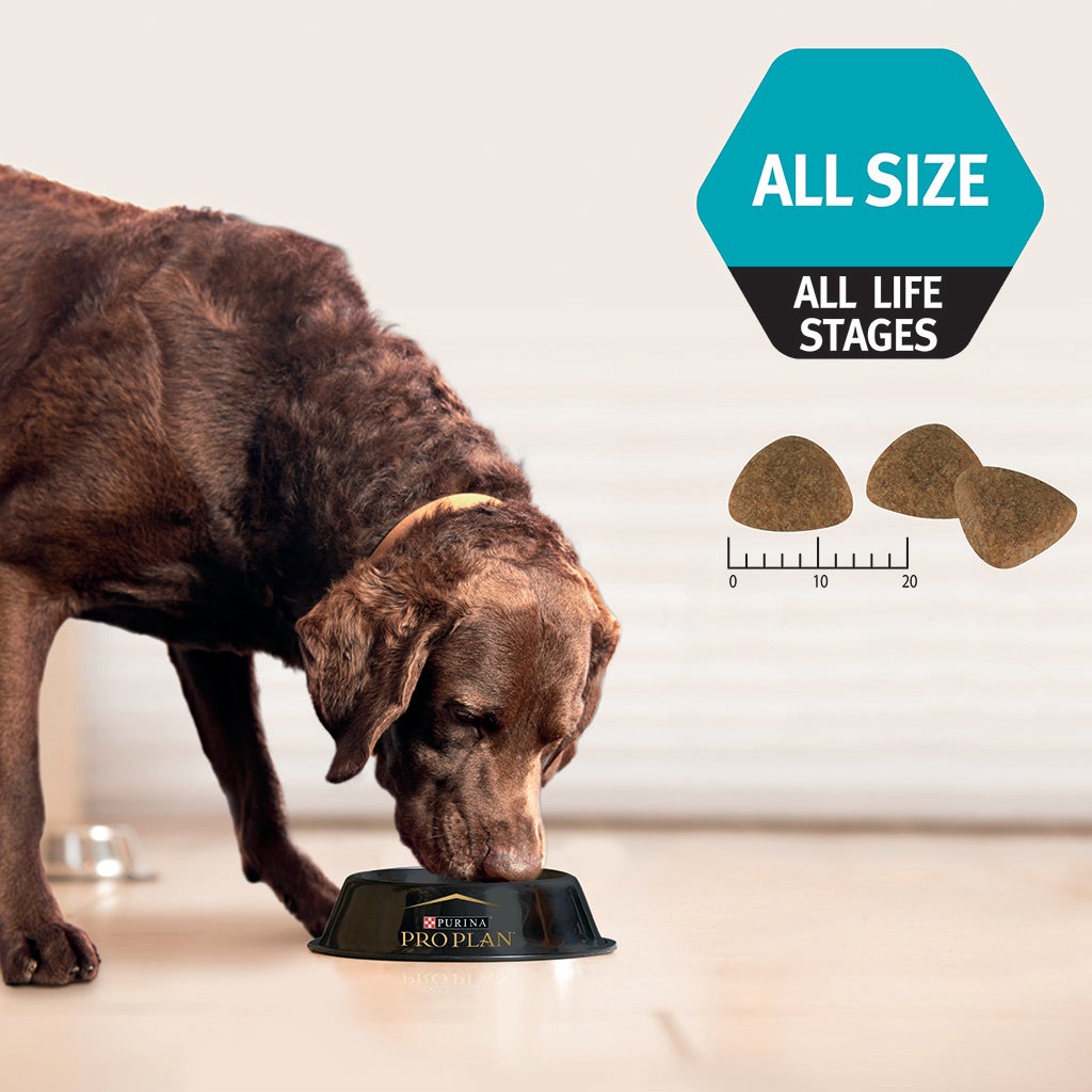 Canidae all 2024 life stages 20kg